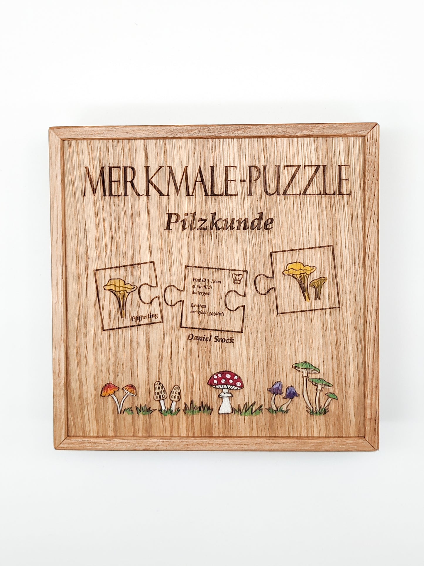 Merkmale - Puzzle