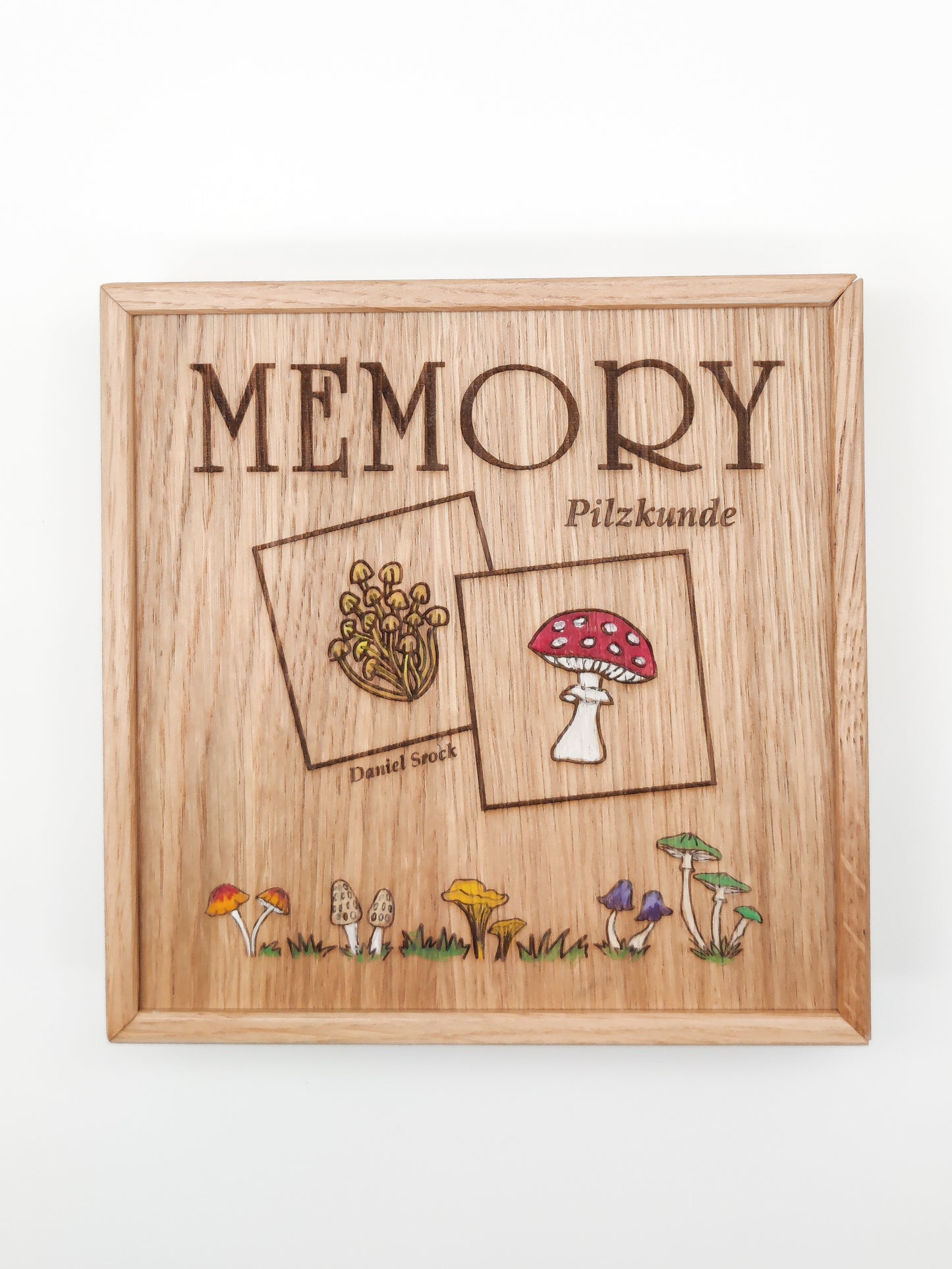 Pilz - Memory